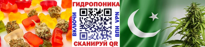 Купить закладки  Опочка  Canna-Cookies конопля 