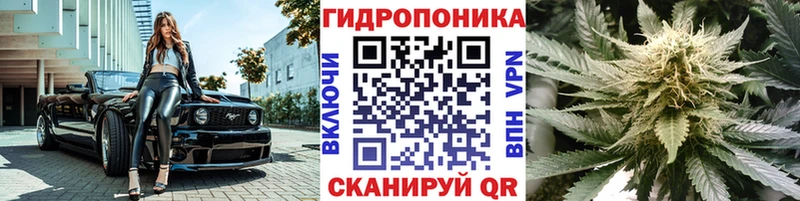 Бошки Шишки Bruce Banner Купить закладки Опочка